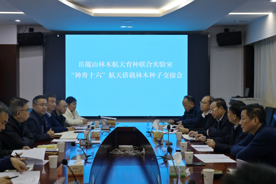 为“虎”添“翼”!湖南启动黑老虎太空种子育种实验