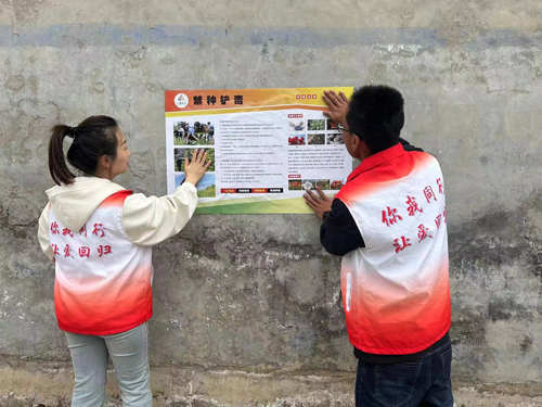 夏县：春来万物向阳生，禁种铲毒守净土